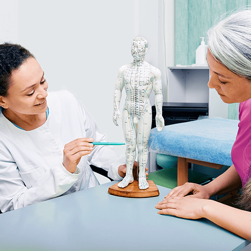 Female acupuncturist showing points on acupuncture model of human body to her patient.
