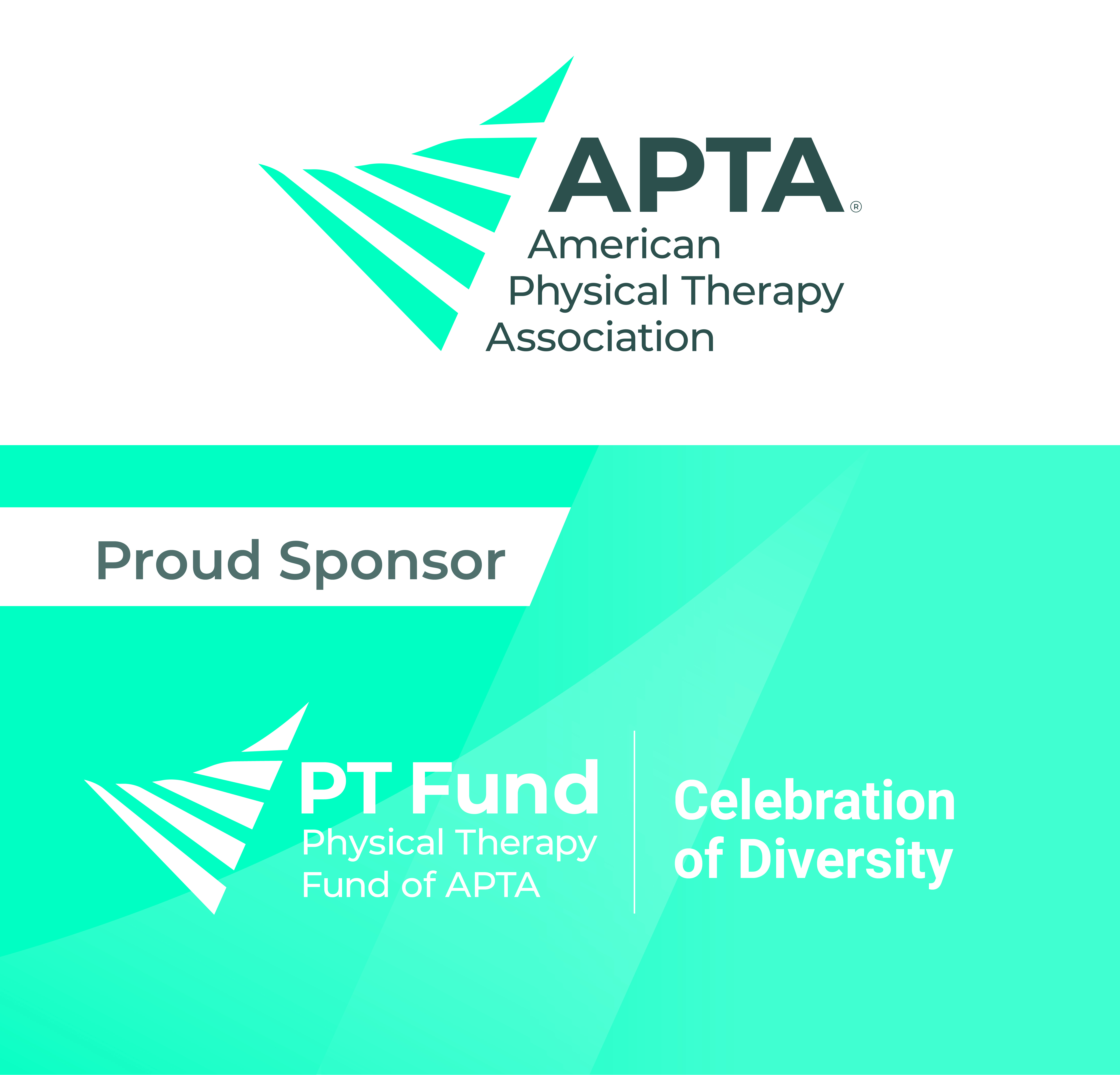 HPSO is a proud partner of the American Physical Therapy Association