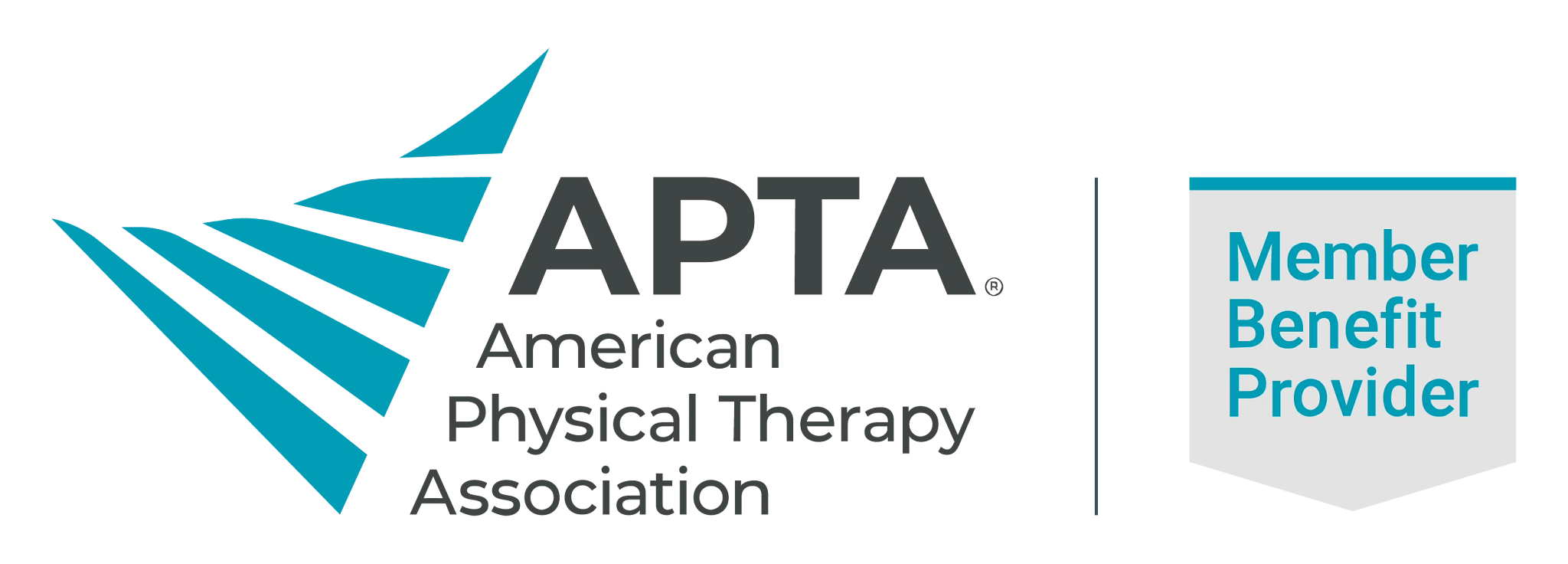 American Physical Therapy Association